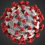 covid-19-coronavirus-covid-cell-pandemic-corona-virus-1608796-pxhere.com (1)